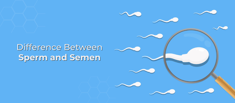 The impact of stress on kidney