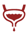 Overactive Bladder